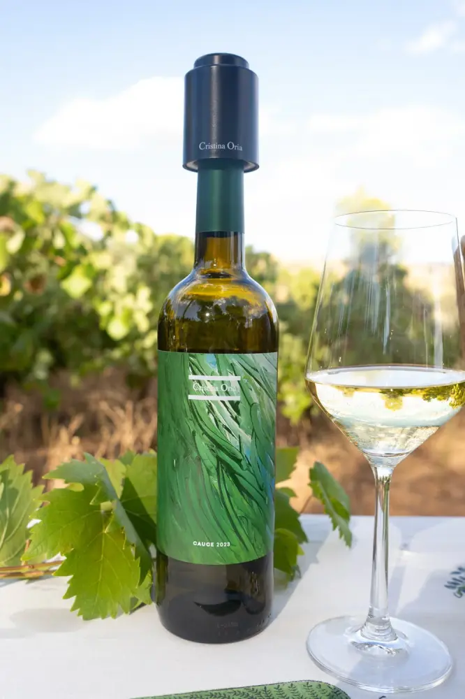 Termómetro para Bouchon à vin sous vide CO