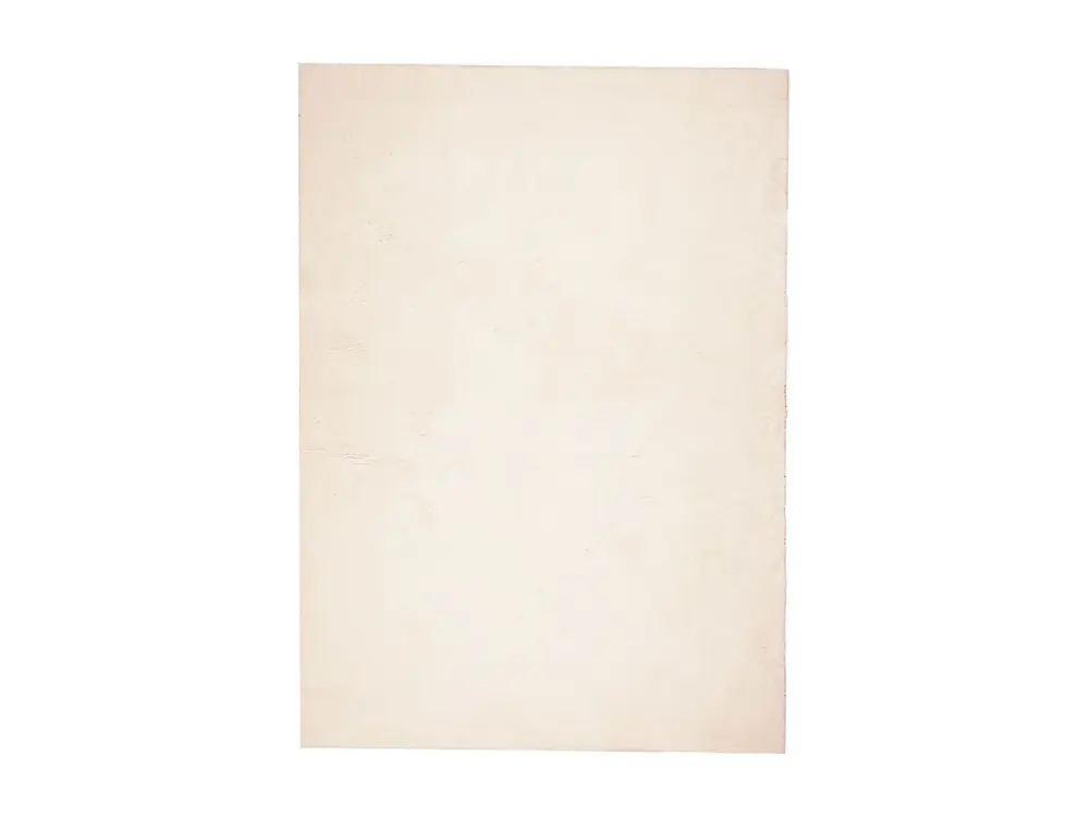 vidaXL Alfombra de pelo corto suave lavable HUARTE beige 240x340 cm