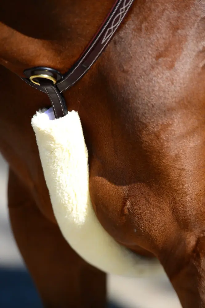Cubierta de peto de piel de oveja Kentucky Horsewear Sin procesar 60