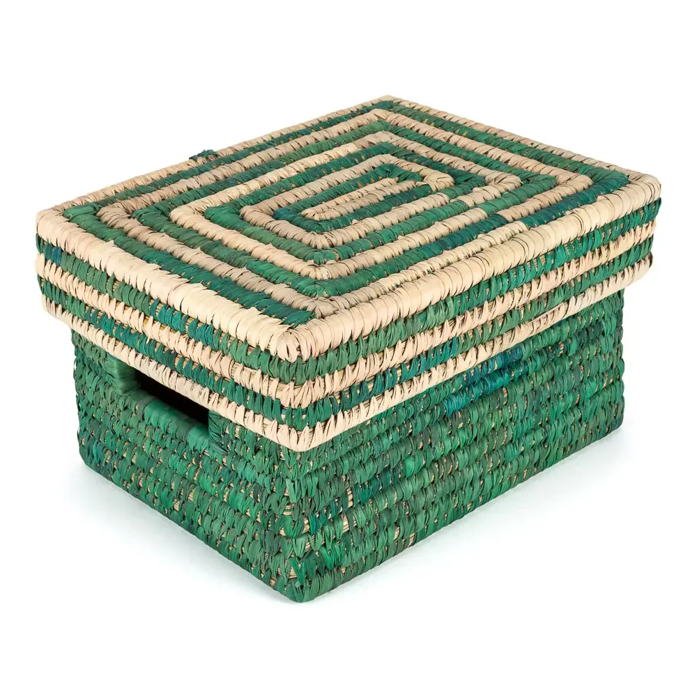 Contenedor Transparente Cesta tapa rayas verdes - base verde