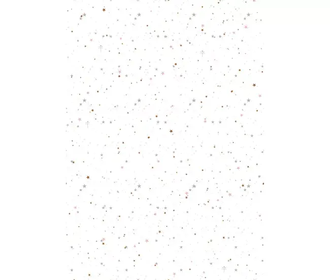 Nórdico de plumas SACO NORDICO SIN RELLENO BAILARINA B CAMA 90