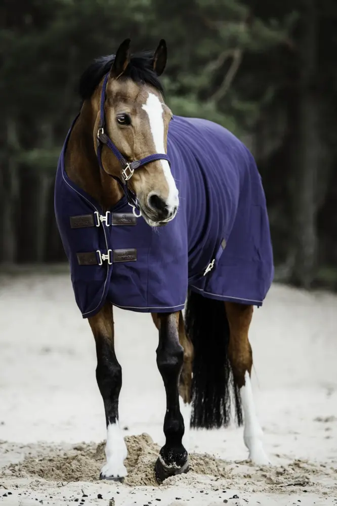 Manta de Secado Polar Kentucky Horsewear Dark ñil 125