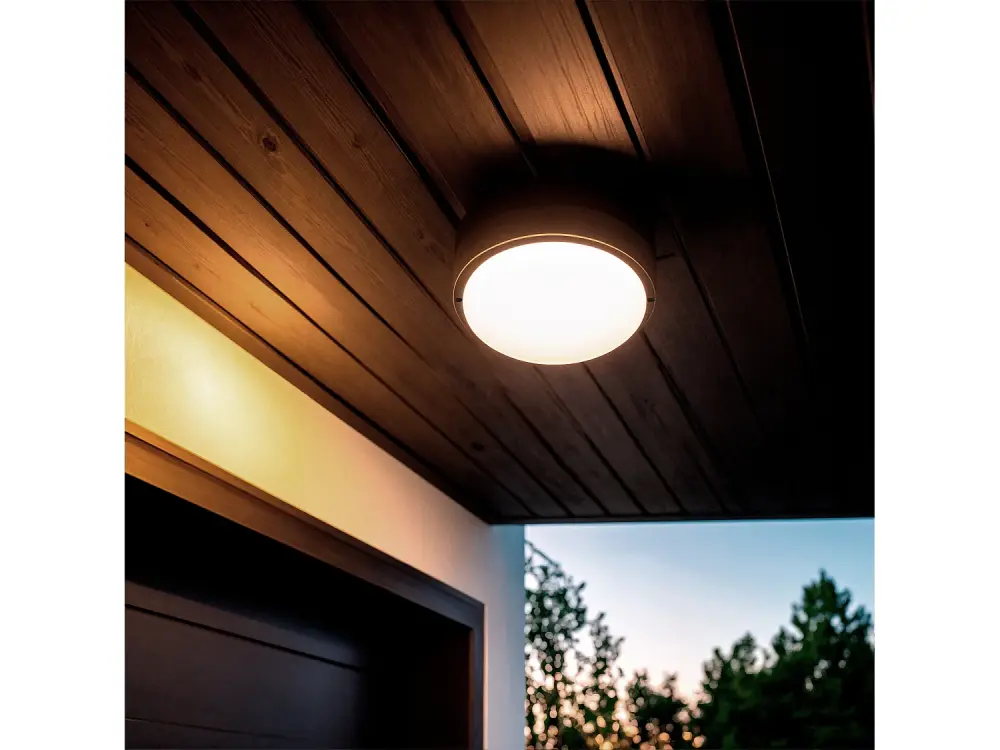 Plafón LED 25W Circular para Exterior Ø175 mm IP65 Hublot Black Blanco Frío 6500K