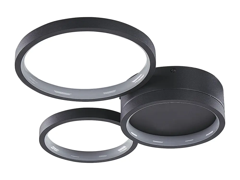 Lámpara de techo LED de metal negro AGNAT