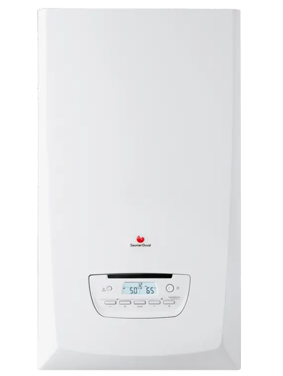 Chimenea de Pared Caldera de gas de condensación ThemaFast Saunier Duval 25 kW sencillo