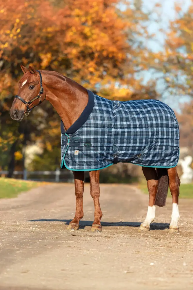 Manta de Cuadra Pesada Múltiple Capa Rhino Novedoso, 450g Navy Check/Teal 130