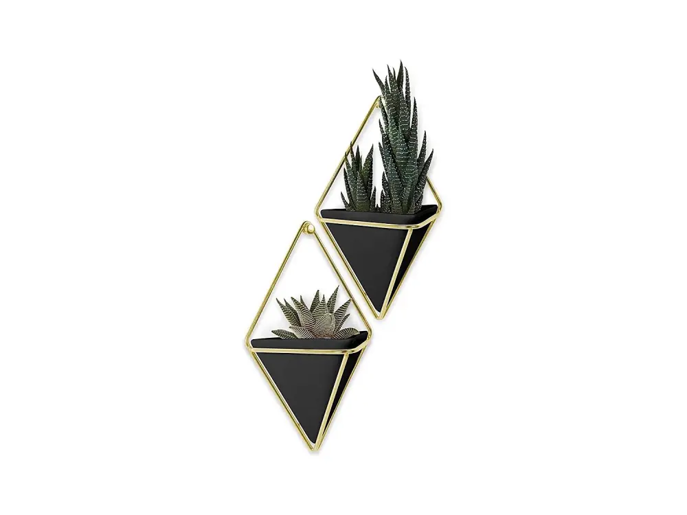 Soporte de pared para plantas Trigg (Juego de 2)