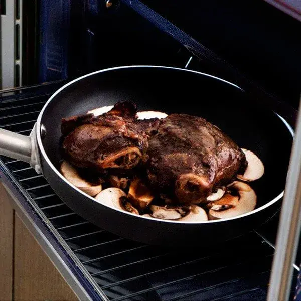Sartén Pro Chef Quid aluminio apta para horno 20 cm
