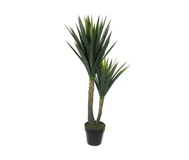 Terrario con Musgo Conservado Planta Decorativa Mica Decorations Yucca (120 x 60 cm)