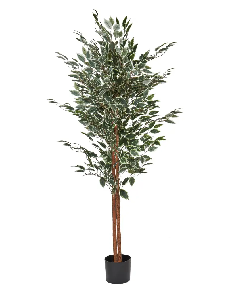 Planta artificial en maceta 167 cm ficus tree Sin Necesidad de Riego