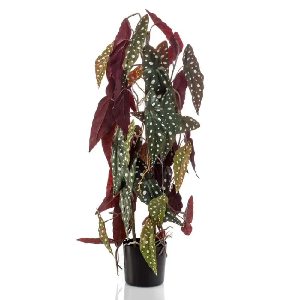 Suculentas Artificiales Emerald begonia maculata artificial en maceta 75 cm
