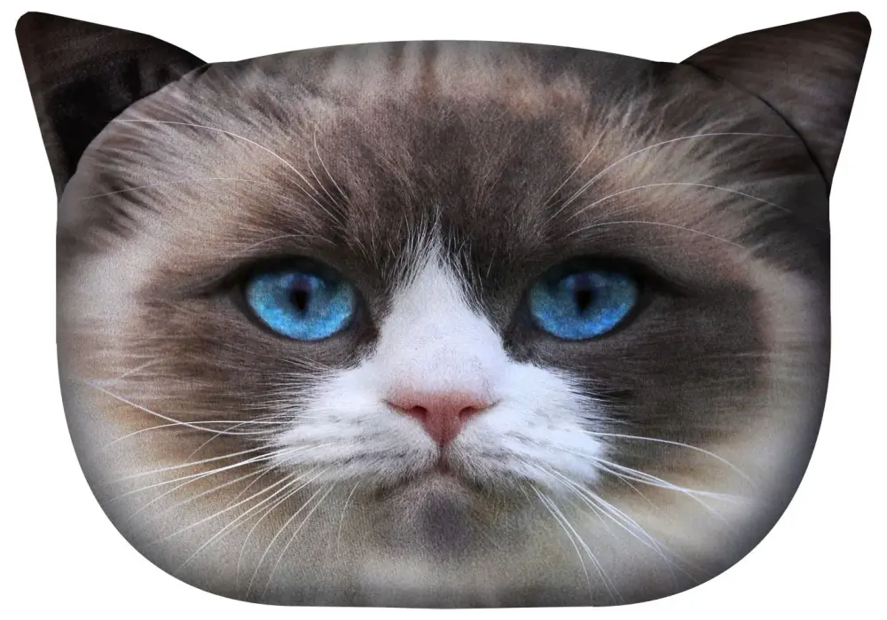 Algodón Egipcio 100% Cojín de diseño con motivo de gato Cojín decorativo con cremallera oculta y relleno