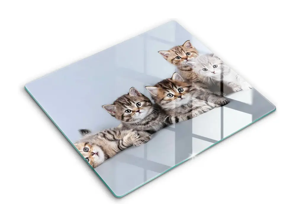 Tablero de cocina rectangular de vidrio, 60x52 cm Dulces gatitos