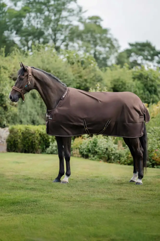 Irish Turnout 150 g Rug & Neck Set Espresso 125