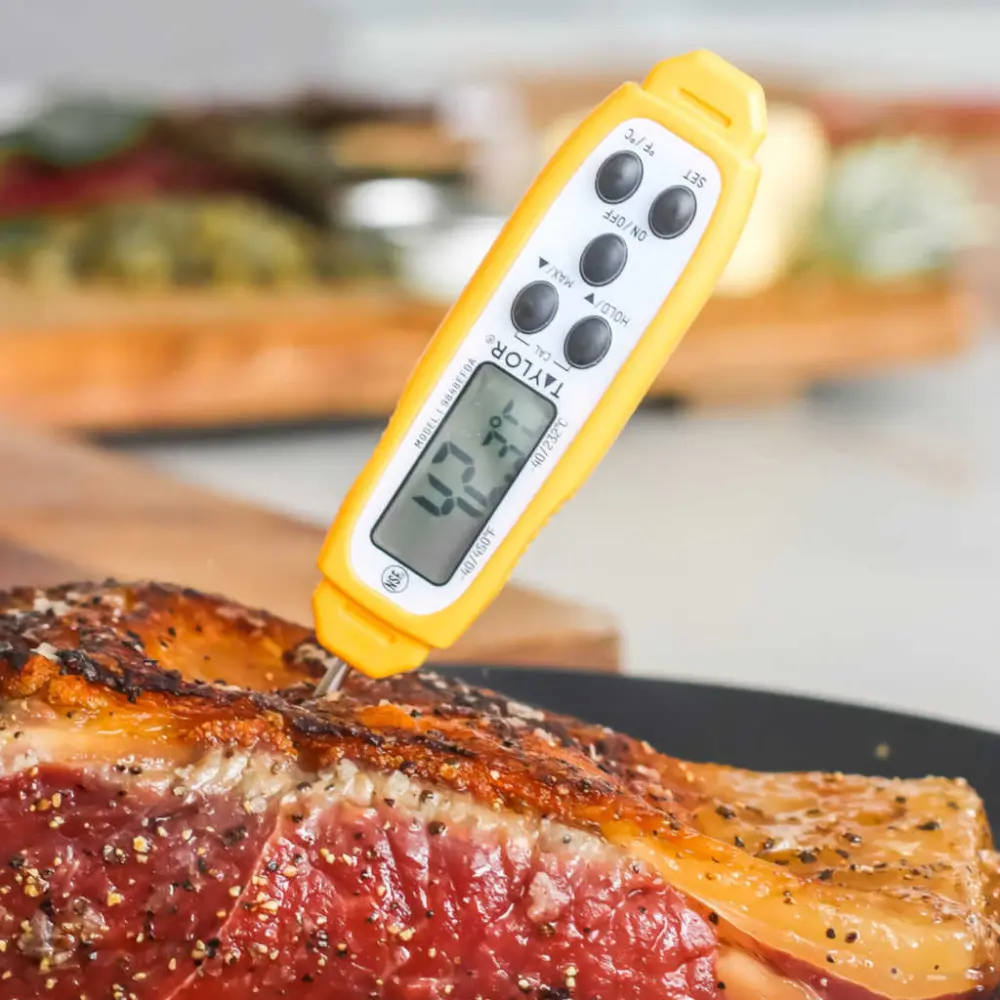 Taylor Instant Thermometer