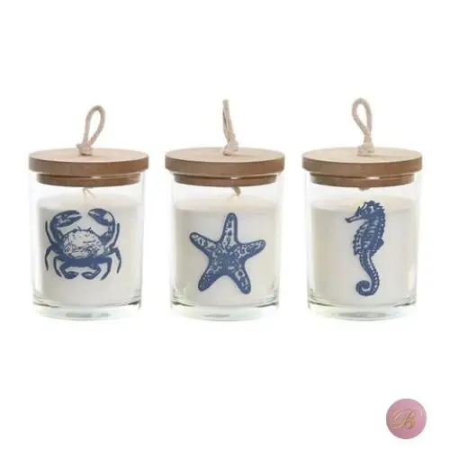 Vela cristal marino